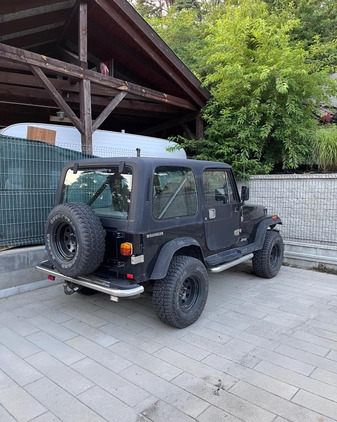 Jeep Wrangler cena 49500 przebieg: 166000, rok produkcji 1991 z Góra małe 191